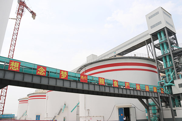 面条,挂面,面,想念