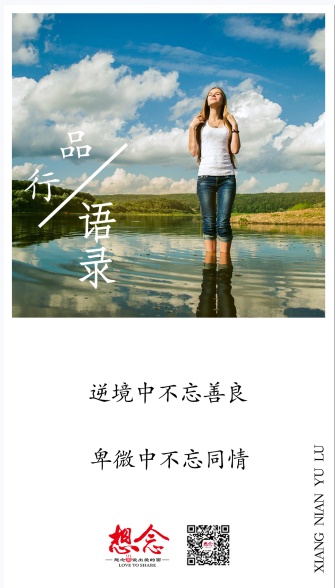 想念,面条,挂面,面