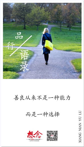 想念,面条,挂面,面