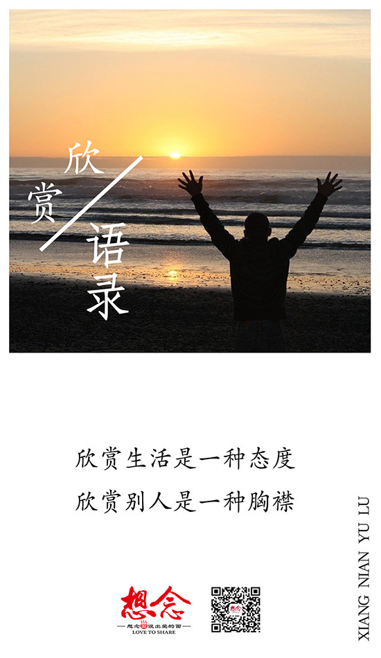 想念,面条,挂面,面