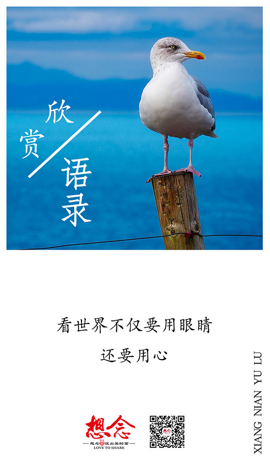 想念,面条,挂面,面