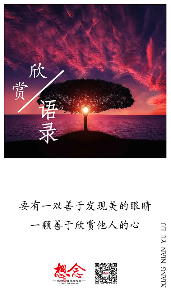 想念,面条,挂面,面